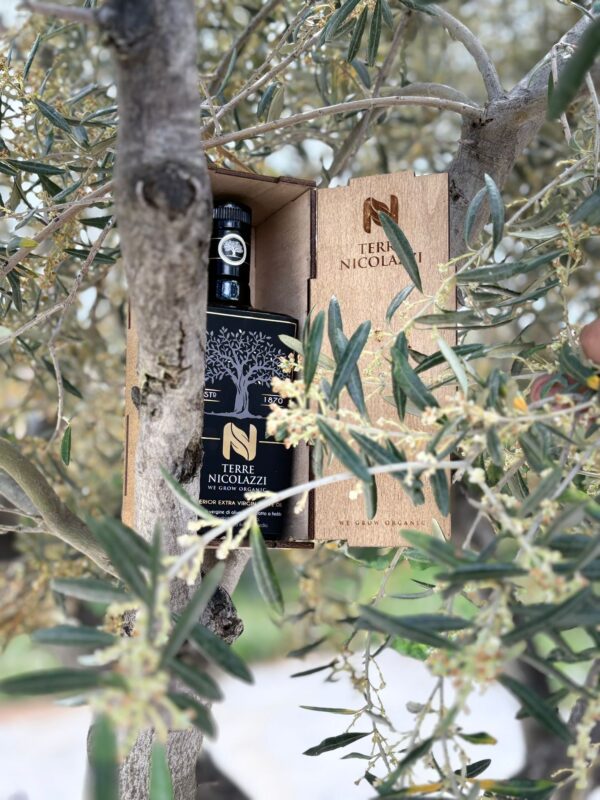 LUXURY BOX TERRE NICOLAZZI
