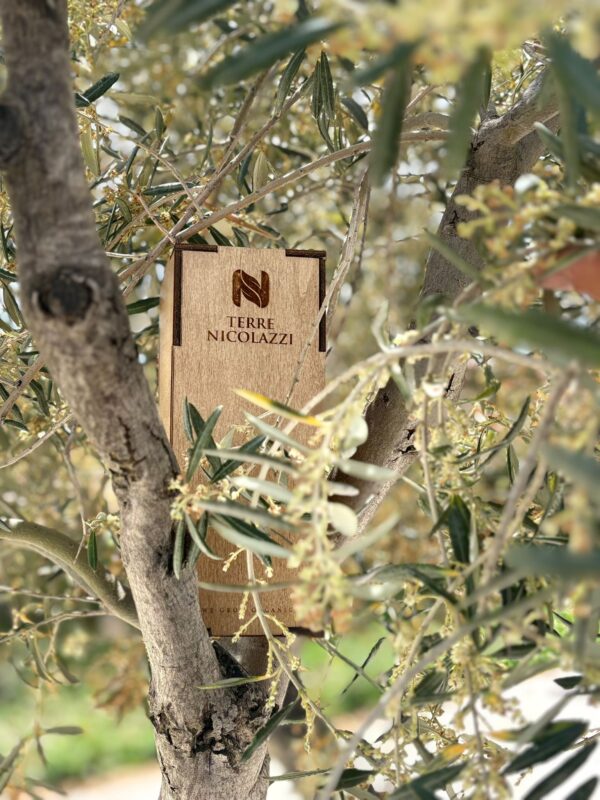LUXURY BOX TERRE NICOLAZZI - immagine 2